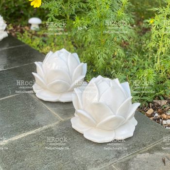 Bông Sen Đá Trắng Để Mộ