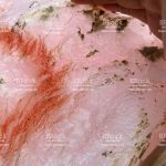 Tượng Phật Đản Sanh Bằng Đá Ngọc Onyx - Tượng đá đẹp chất lượng