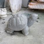 Rùa Đá Xám Nhạt