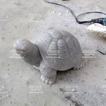 Rùa Đá Xám Nhạt